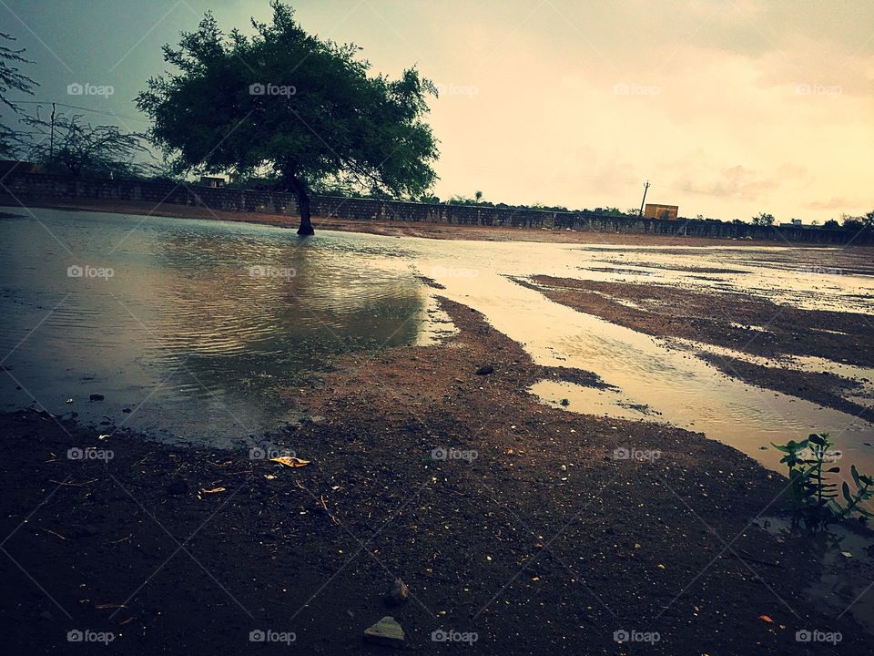 Rain in desert