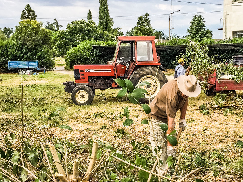 Farming Tractor And Farm Workers At Work
