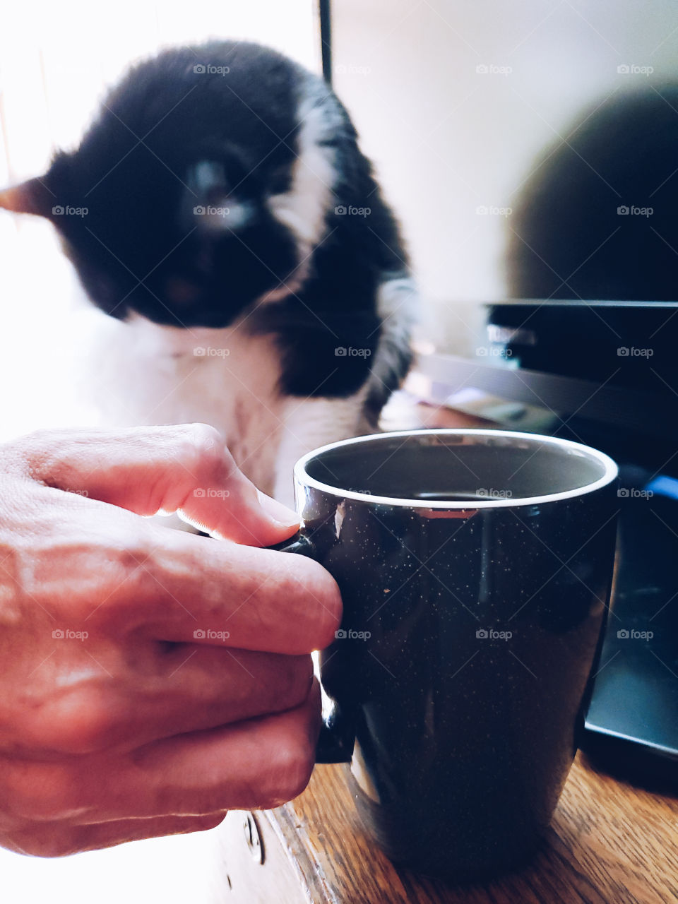 Closeup of a man holding his favorite gun metal gray fire glazed coffee mug and his cat and LCD TV in the background.