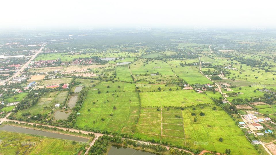 Agriculture, Landscape, Countryside, Cropland, Farm