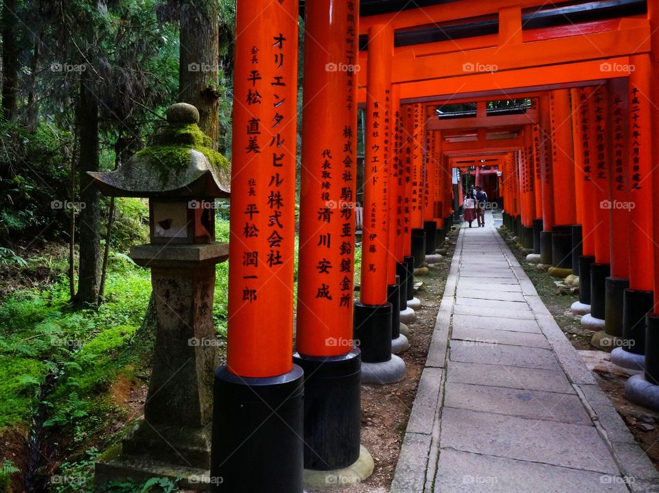 Torii gates of Fushimi-inari