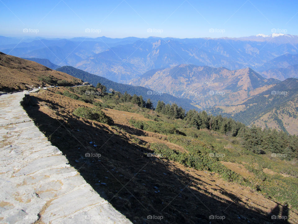 Chopta Valley