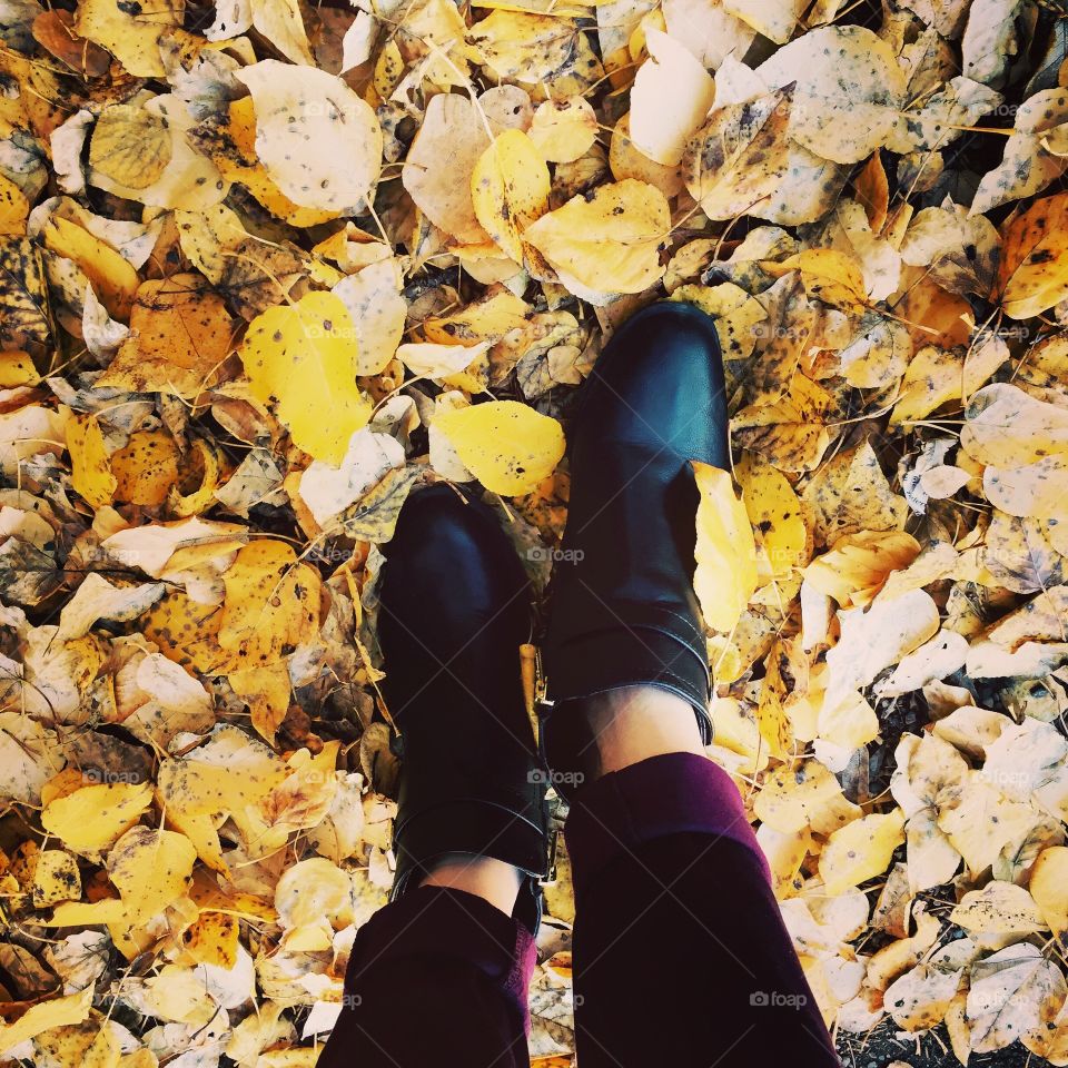 Falling for Fall