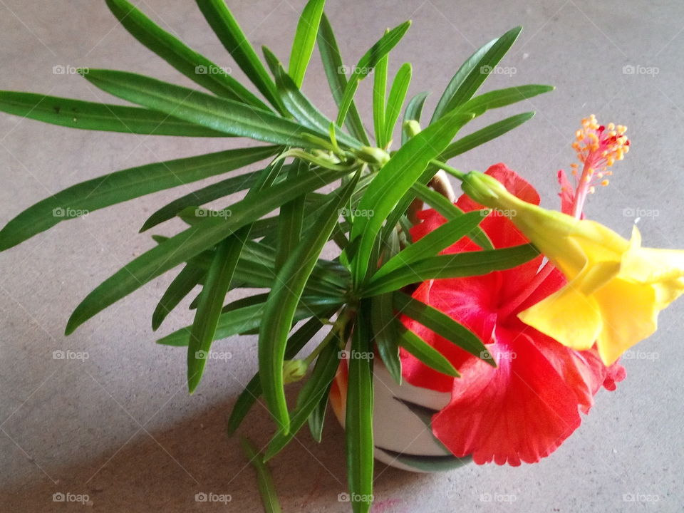 green plants and red flower object