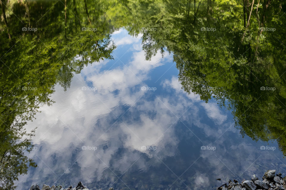 Water reflections