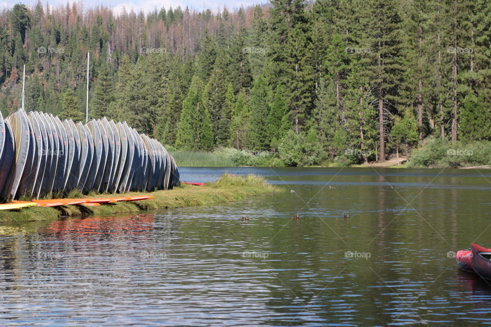 Rowing into fall . . .