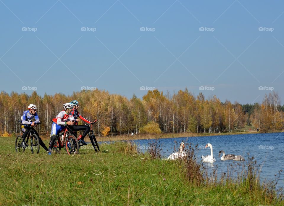 people riding on a bikes and birds swans on a lake beautiful landscape autumn time