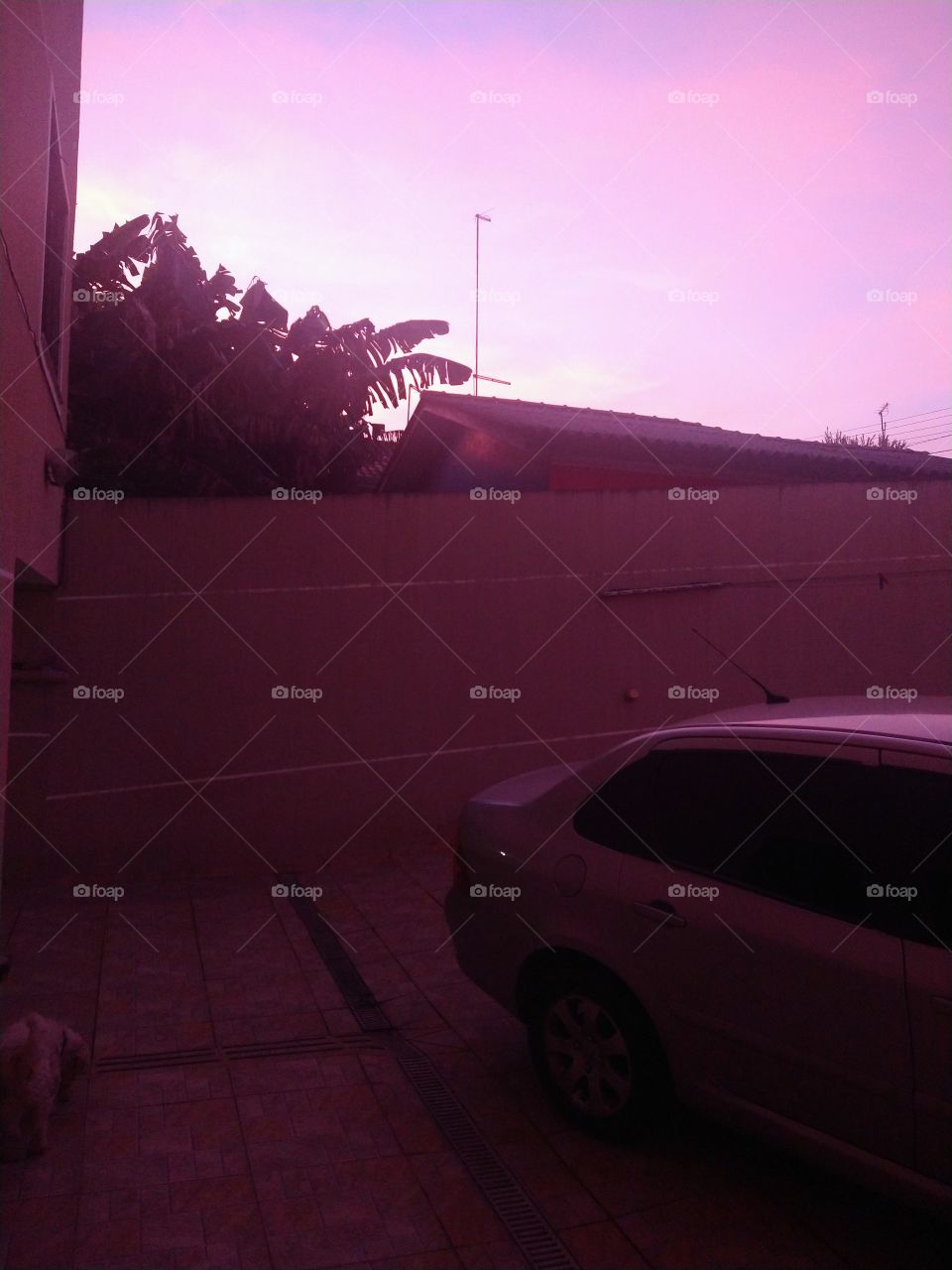 Quintal de casa fim de tarde.