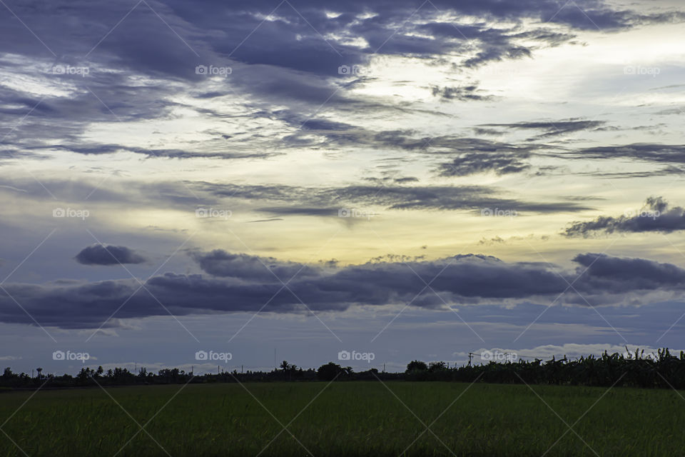 The reflection of the Sun in the evening  and the clouds on the sky with Shadow trees in paddy fields.