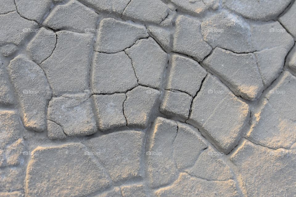 Cracks in the sand flats 