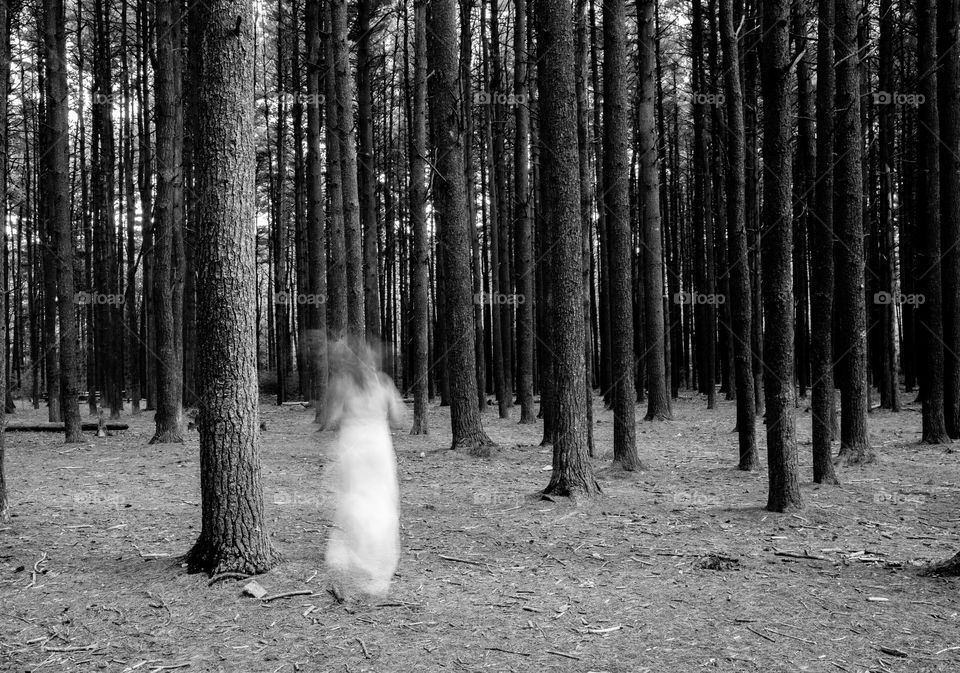 Ghost running through woods 