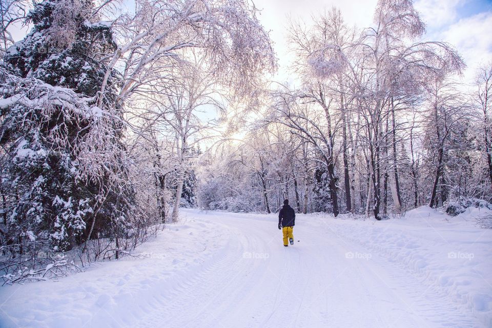 A young man through a massive snowy forest on a beautiful hiking trail