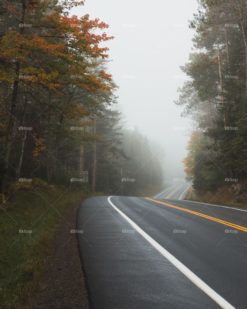 Beautifully colored fall roadscape with a curvy road that runs into the unknown fog