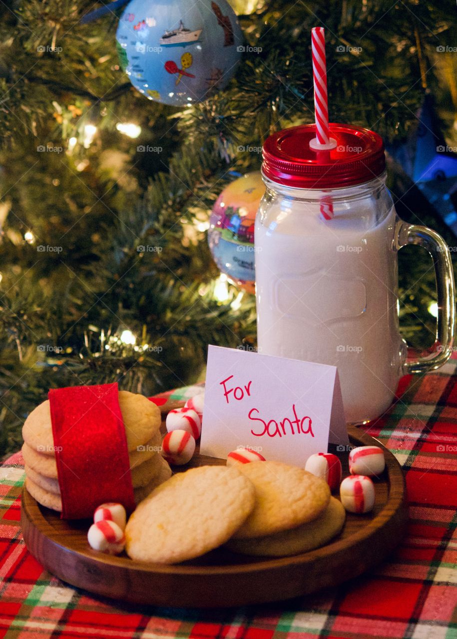 Christmas cookies and milk for Santa 