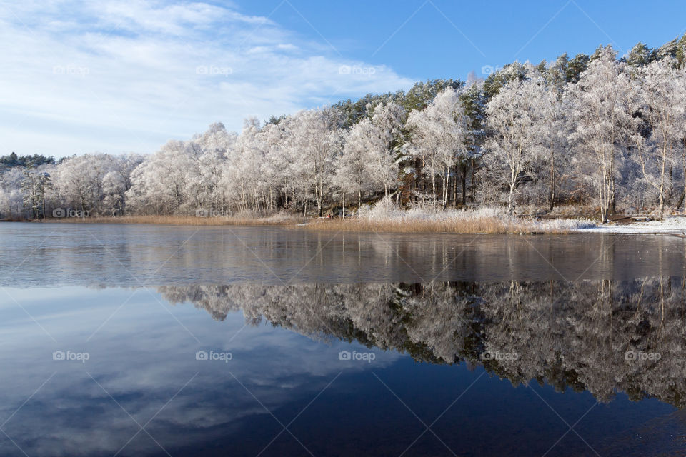 Sign of winter, frosty tree reflections in partly ice covered lake in fair weather