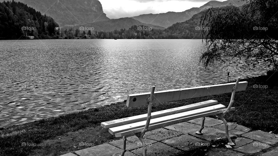 the bench by the lake