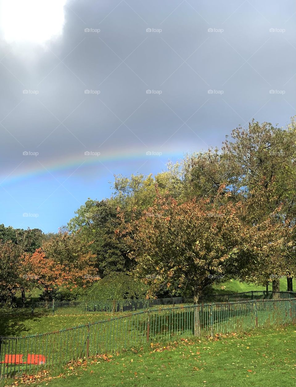 Rainbow in the park in autumn