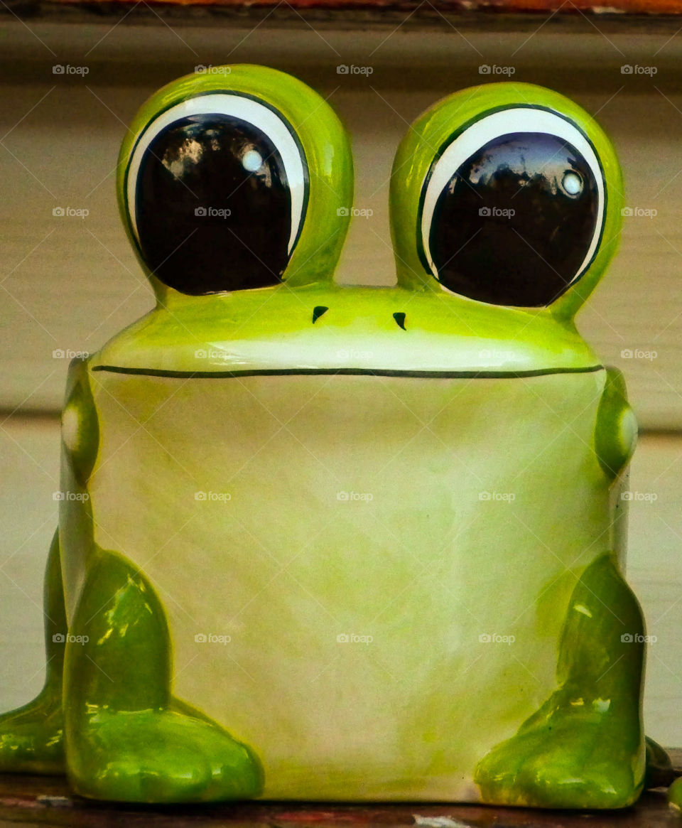 frog