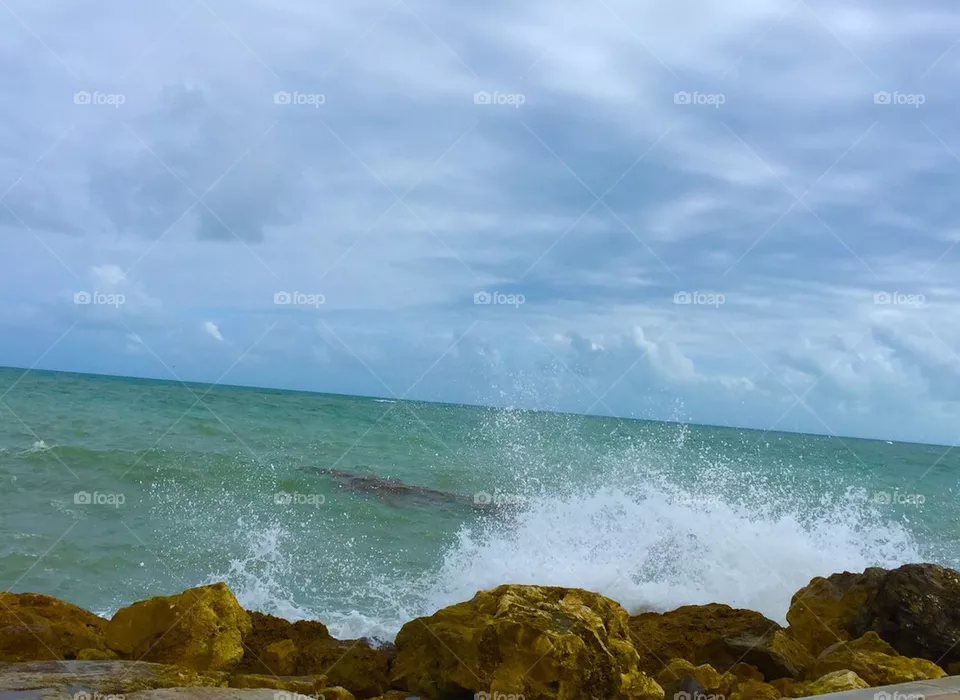 Splash