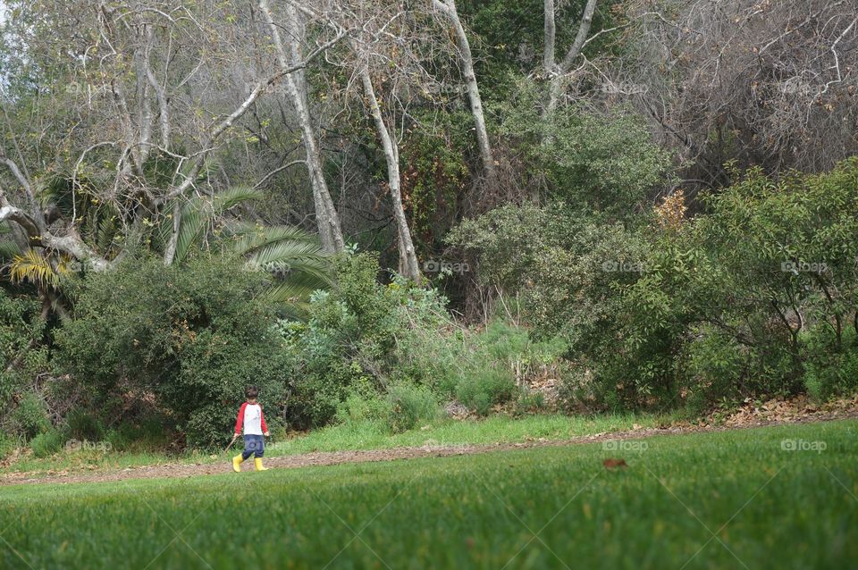 A child walking in a forest