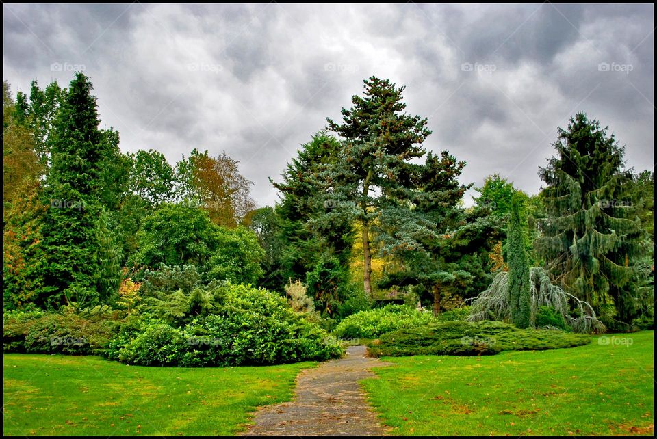 Amsterdam sin city tourism amazing part full of green power nature therapy summer holidays naturalism adventure time hustling daydreaming wonderful view colorful eye-catching green background