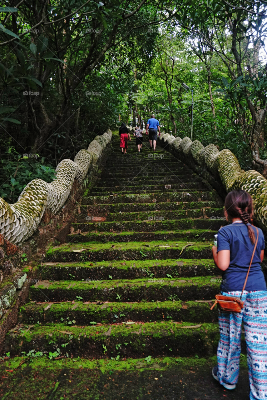 hiking hobby