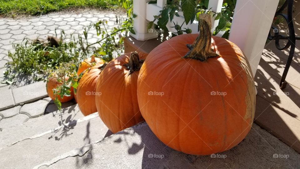 descending pumpkins