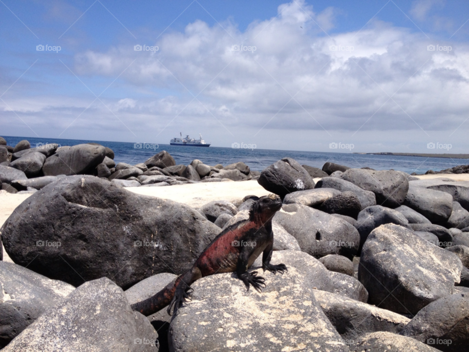 ocean sky blue face by hookolsson