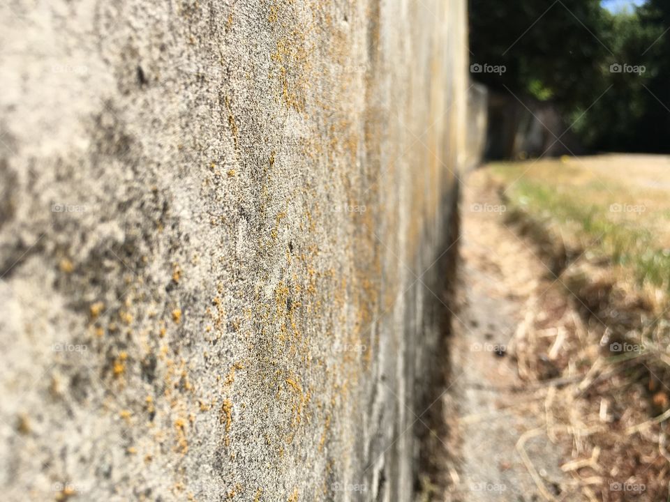 No Person, Old, Nature, Outdoors, Wood