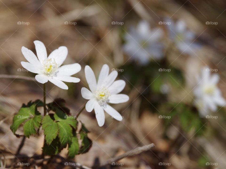 Красоты Кузбасса