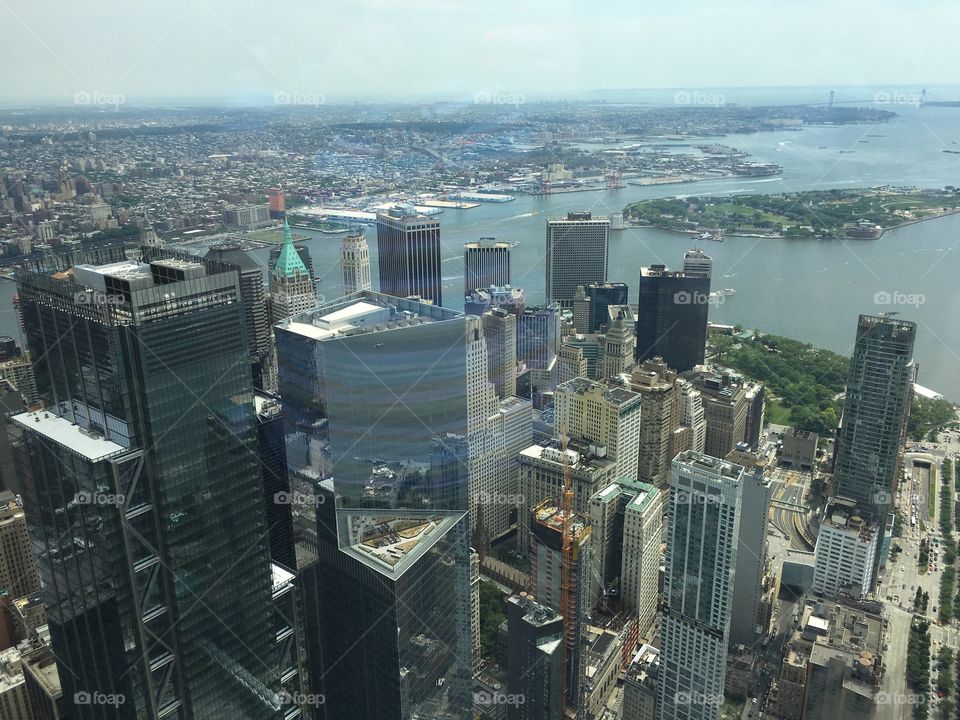 View from Freedom Tower