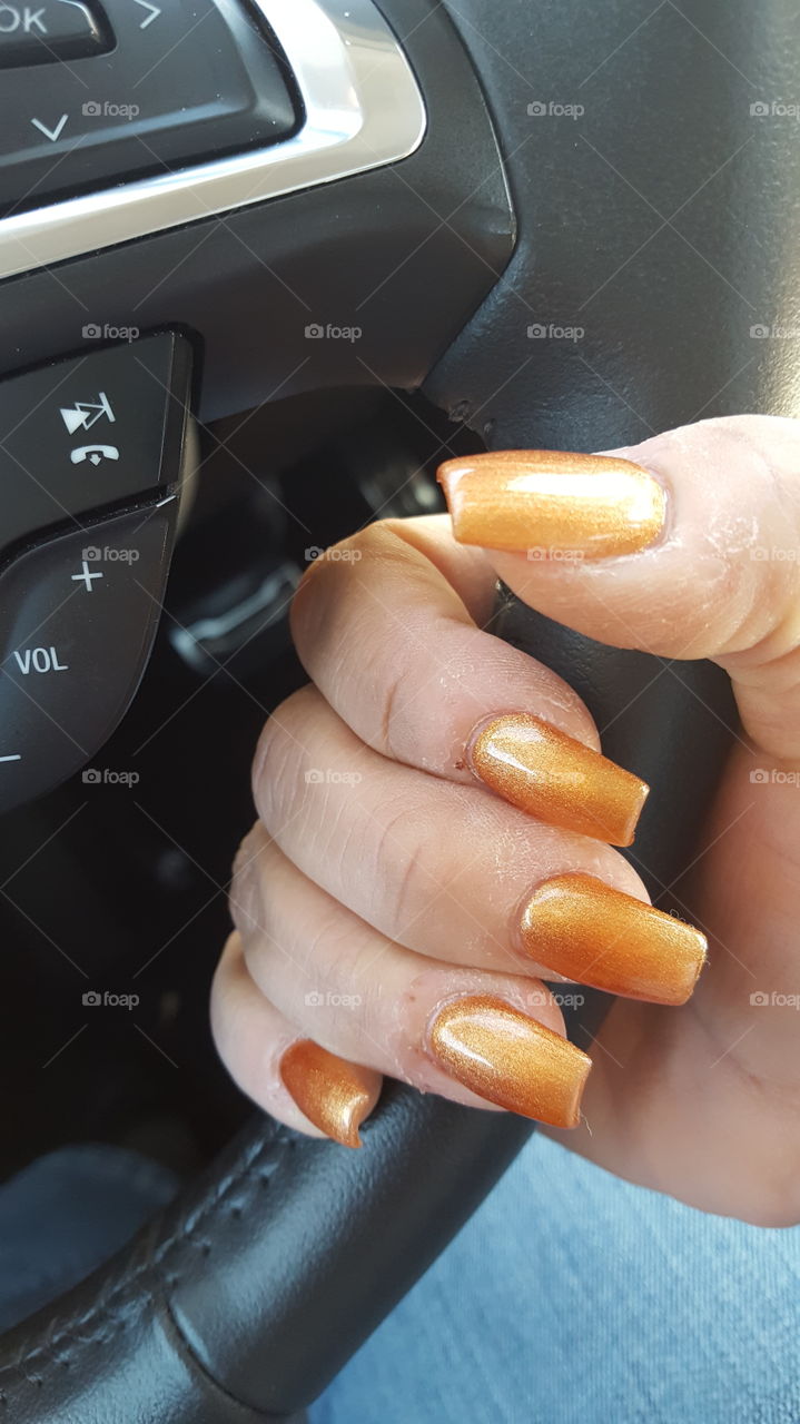 Hand, Car, Food, Woman, No Person