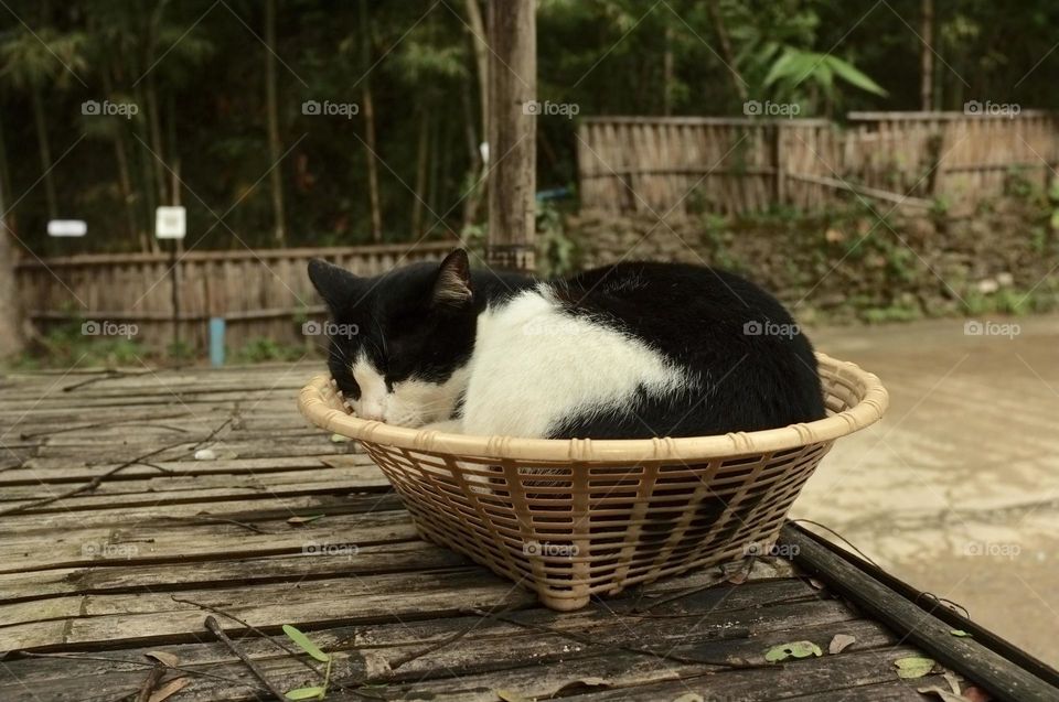 The mattress is just right...😁