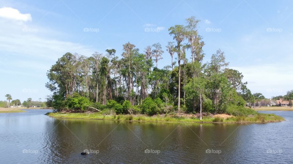 Water, Tree, Nature, Landscape, River