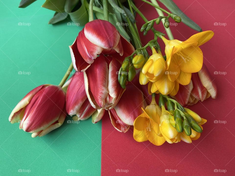  Beautiful spring flowers 