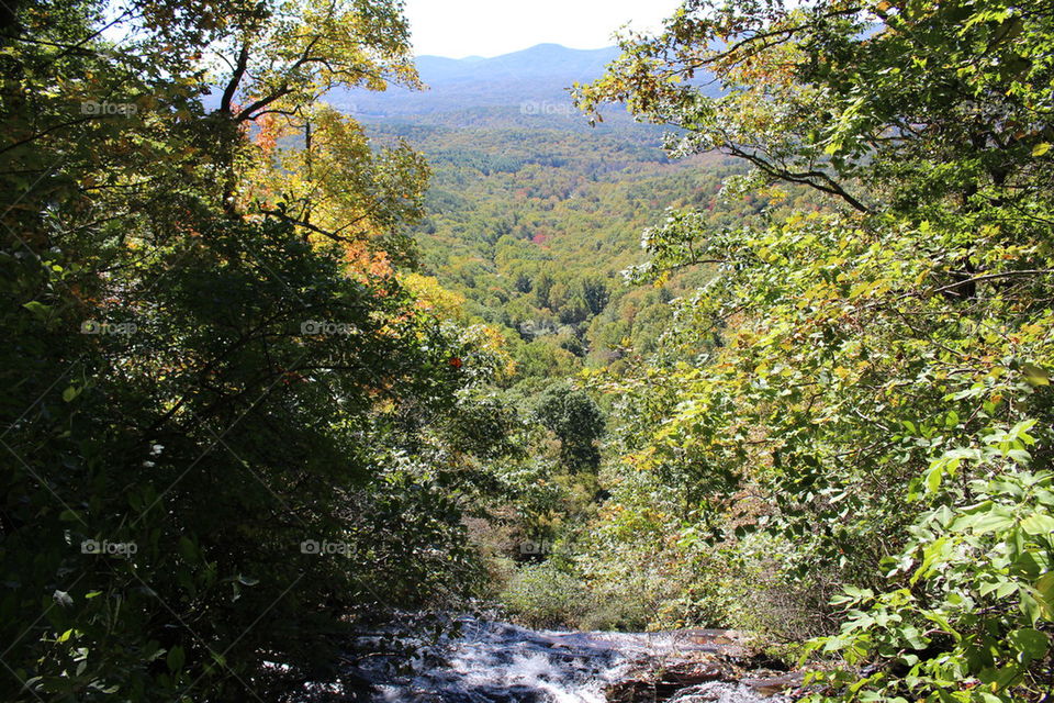 Top of Amicalola falls