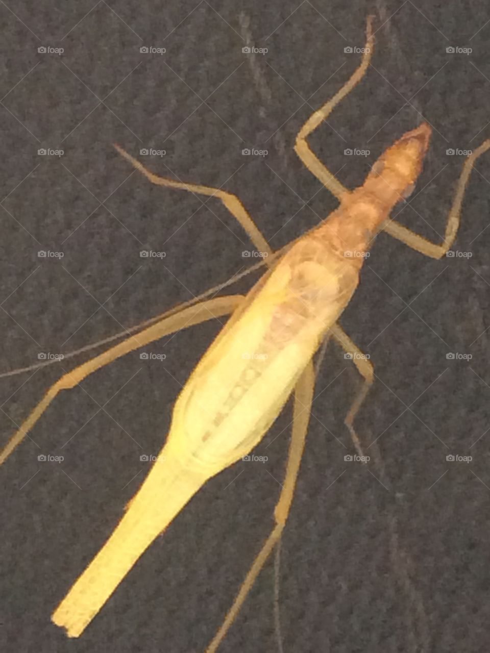 Creatures in September 