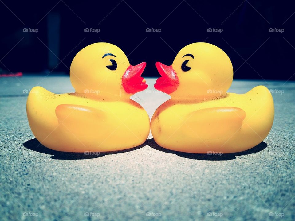 ducks