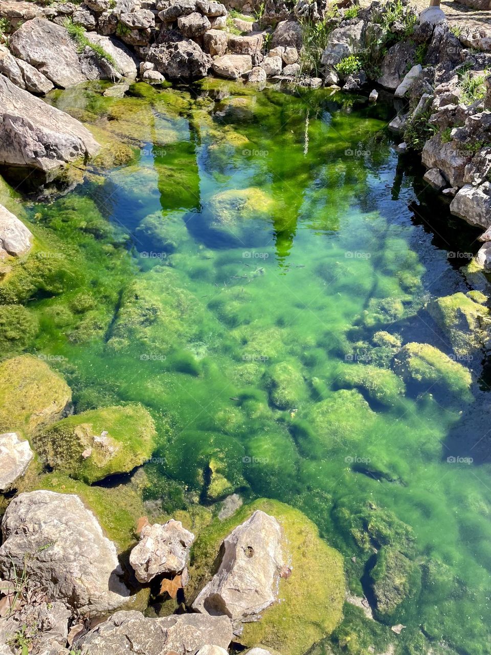 Lagoa verde, Portugal 