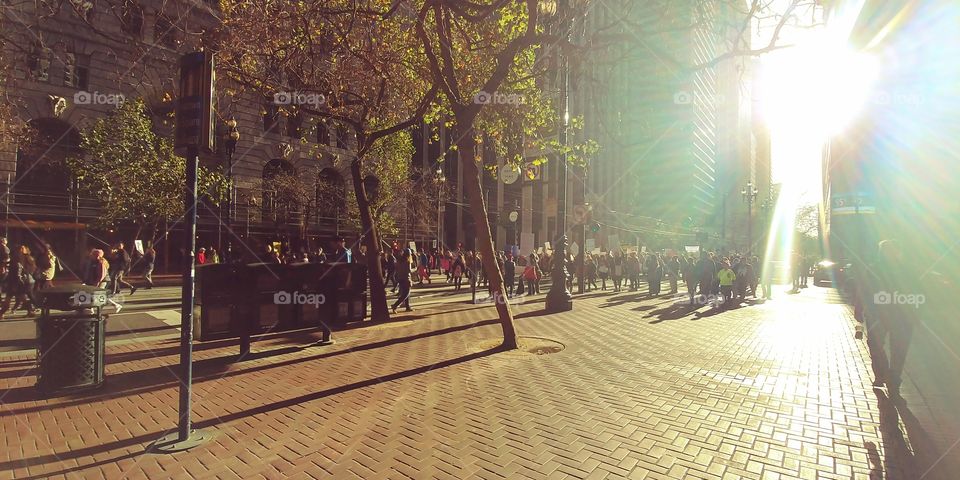 San Francisco women's March