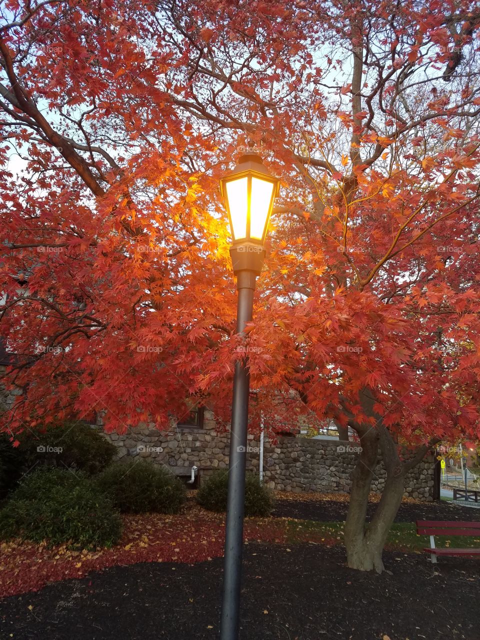 Autumn leaves and lamp