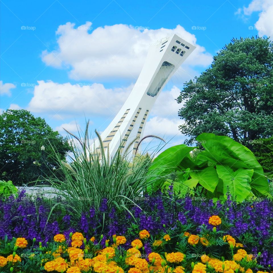 Montreal,  Botanical Garden. The architectural structure behind is the tower of the Olympic stadium