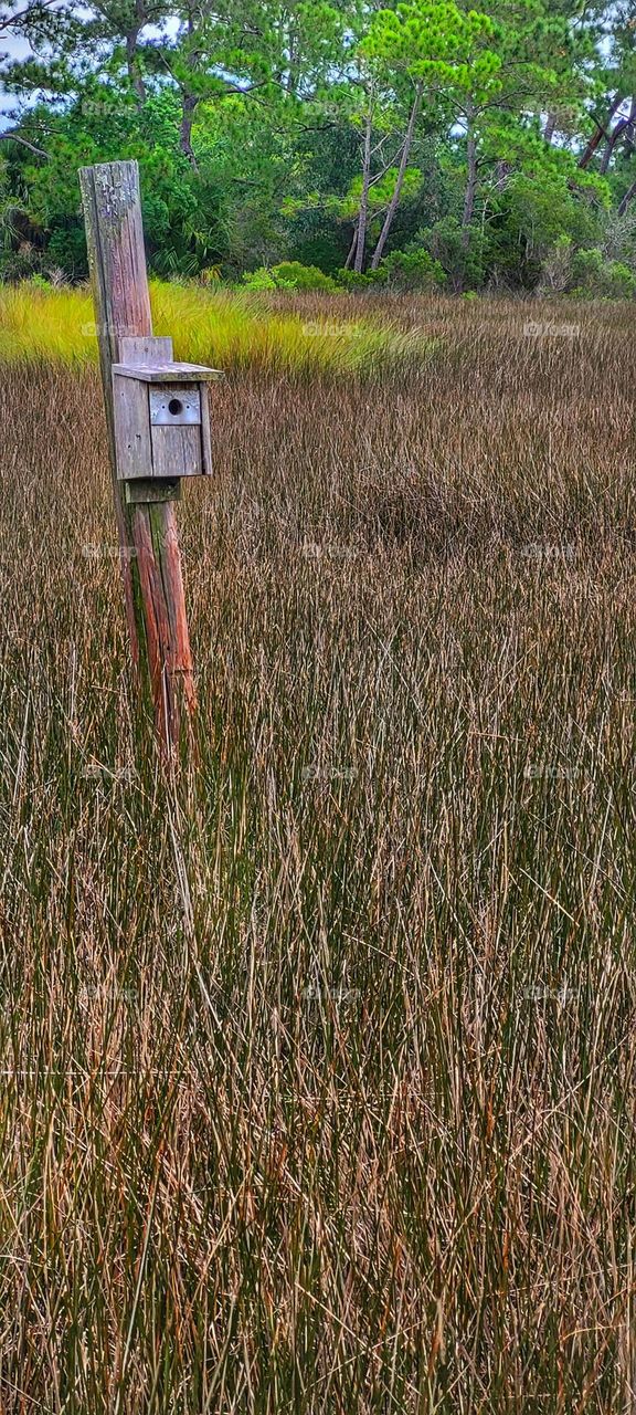 lonely birdhouse