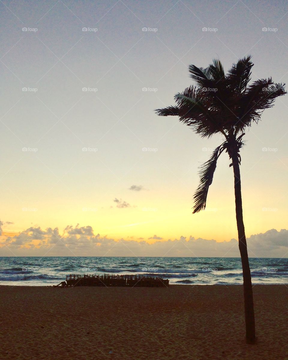 🇺🇸 Summer stuff: admire the beach and the beautiful sunrise by the sea!  Here: Fortaleza, Brazil. / 🇧🇷Coisas do Verão: admirar a praia e o lindo amanhecer à beira do mar! Aqui: Fortaleza, Brasil. 