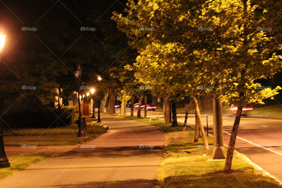 Scenic view of parkway at night
