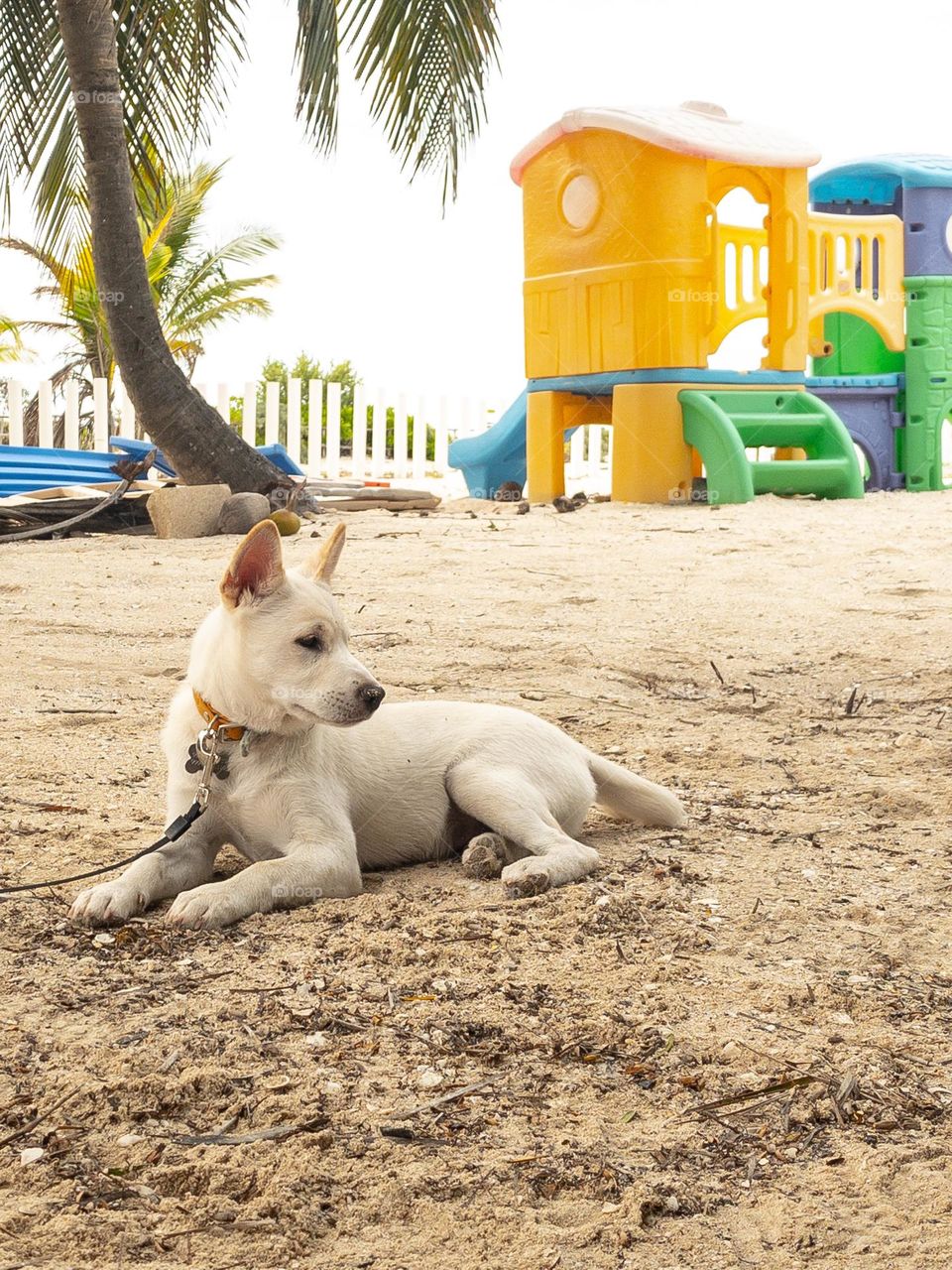 Walking in the beach 