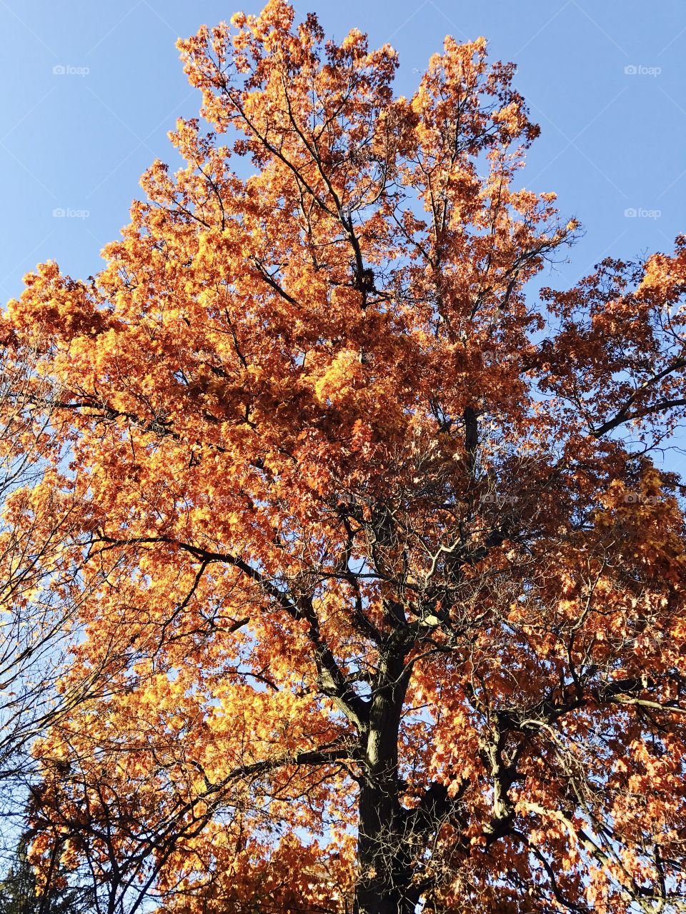 Autumn is beautiful!