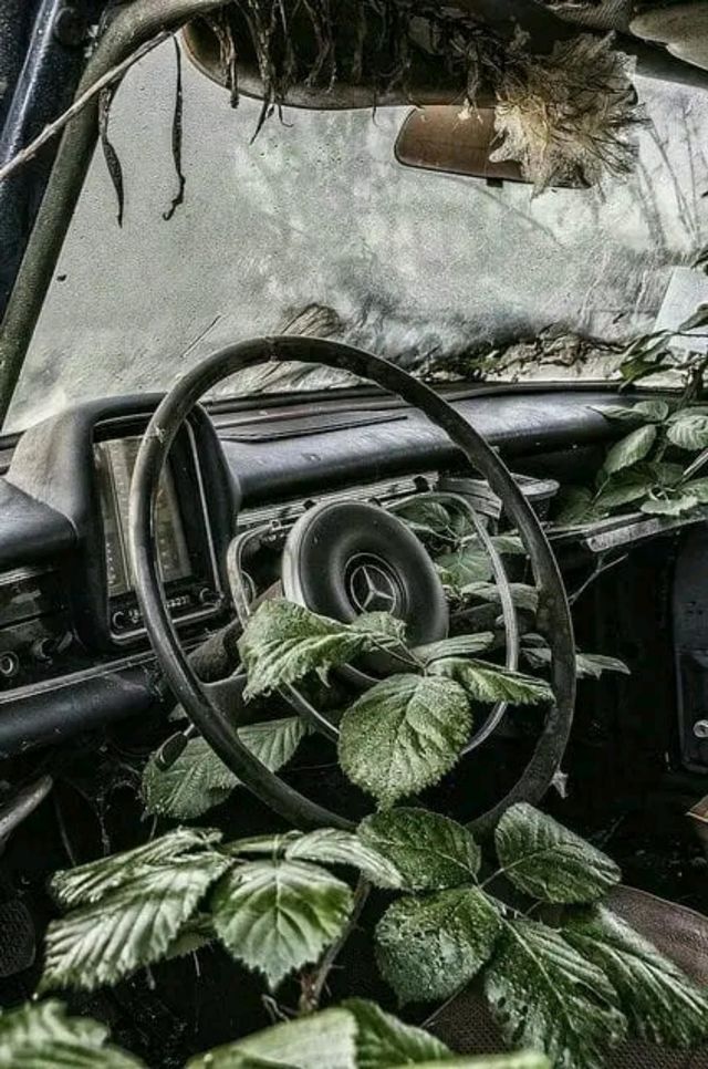 nature takes place