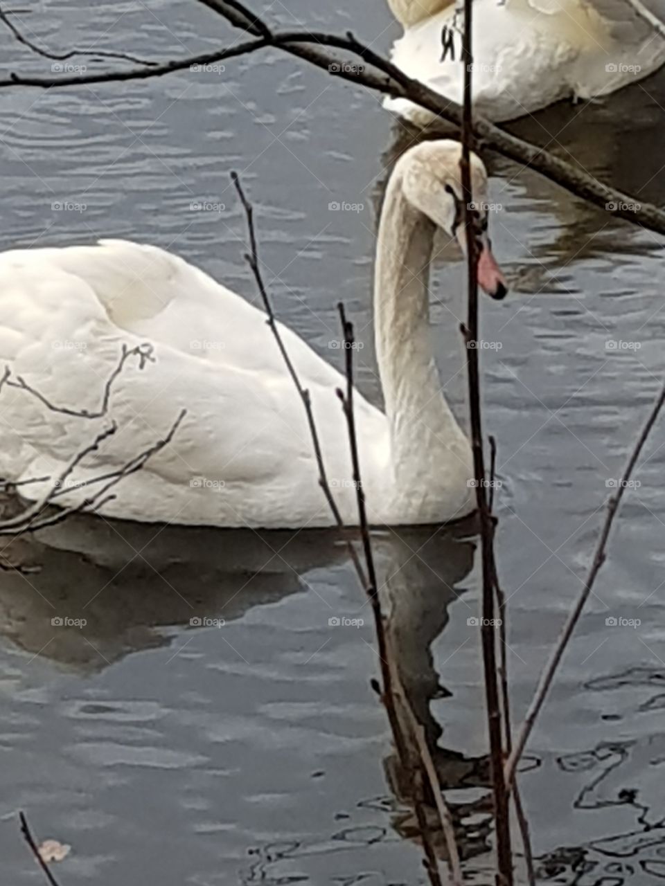 Winther day in Norway