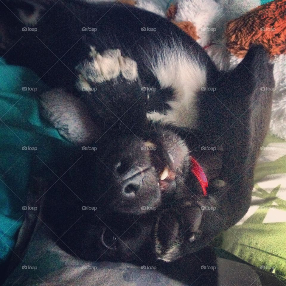 Being crazy in the laziest way possible 